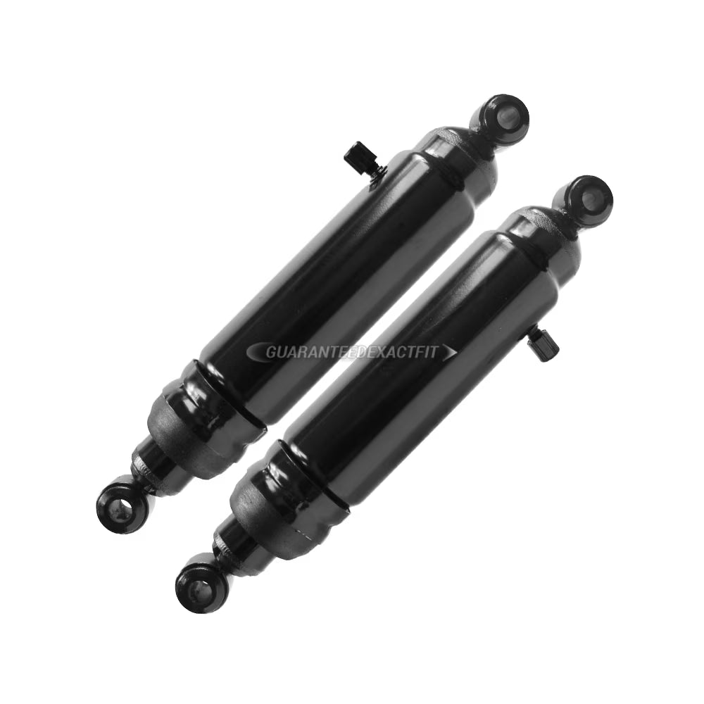 Pair Rear Shock and Strut Set M155